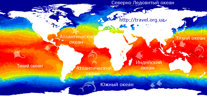 Карта температуры морей и океанов сейчас